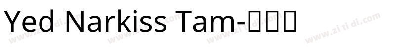 Yed Narkiss Tam字体转换